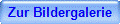 Zur Bildergalerie
